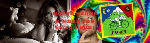 прущие грибы Медногорск