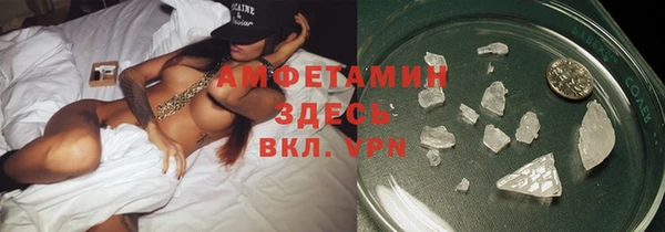 прущие грибы Мегион