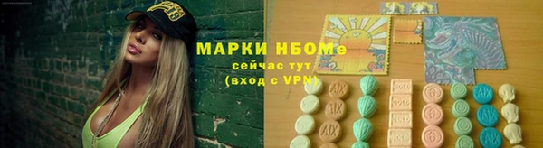 прущие грибы Мегион