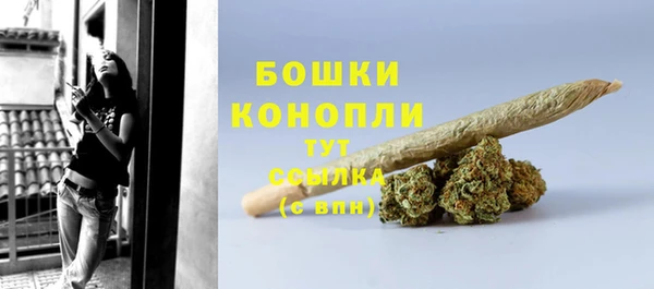 прущие грибы Мегион