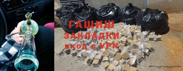 прущие грибы Медногорск