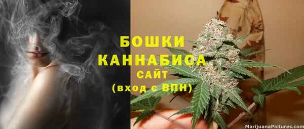 прущие грибы Медногорск